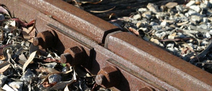 My Favorite Photographers