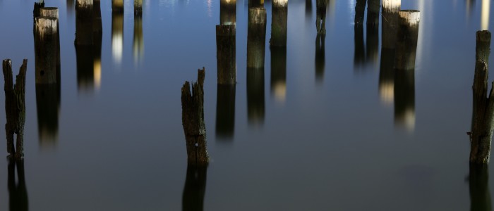 Piles in the water